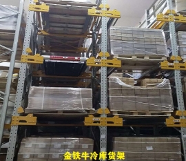 福建大型冷庫貨架項目